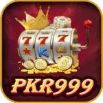 PKR999 Logo-DroidSpring